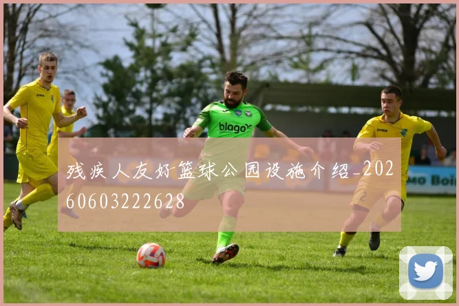 残疾人友好篮球公园设施介绍_20260603222628